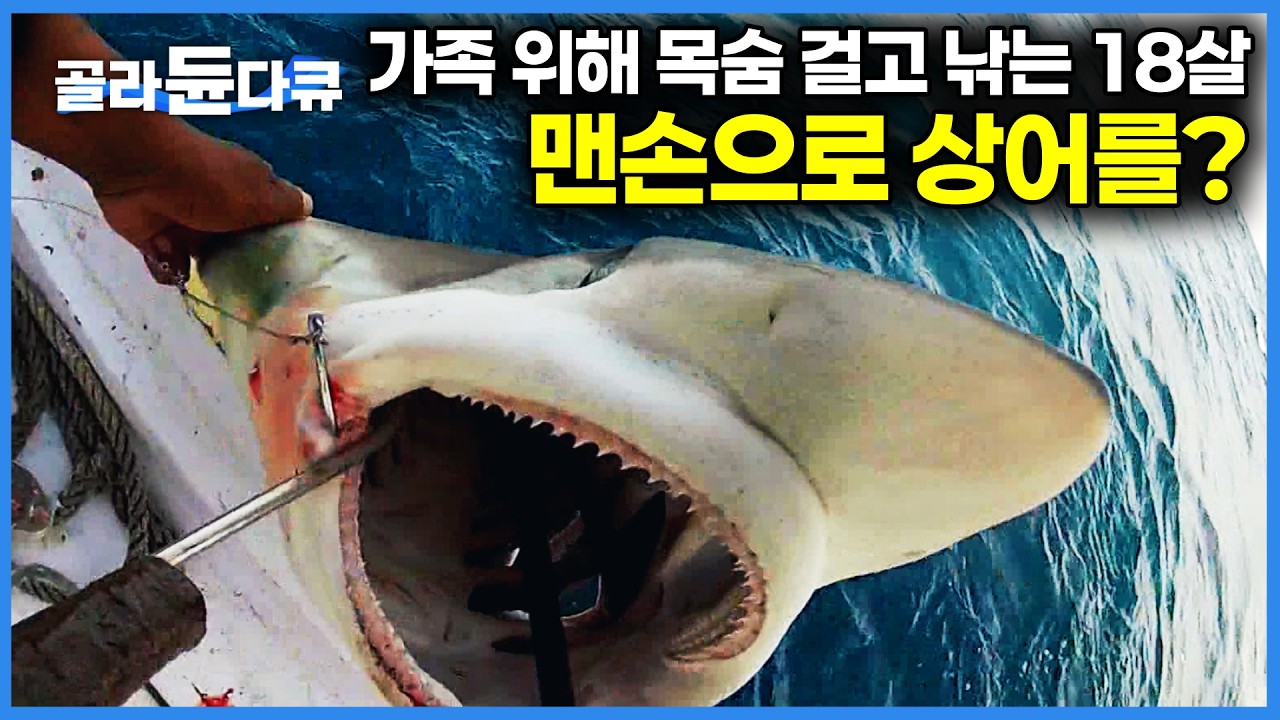 괴력 발휘하는 상어와 기계도 없이 맨손과 외줄 하나로 사투를 벌였더니 결국 벌어진 일｜500년 전통의 상어잡이 마을이 살아남은 비결｜세계테마기행｜#골라듄다큐