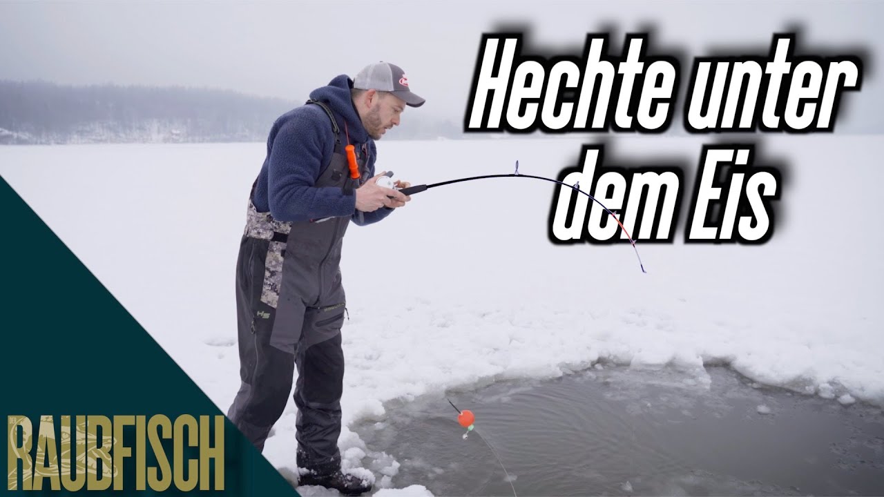 Eiskalte K&ouml;fi-Hechte im Natursee 🥶🥶🥶