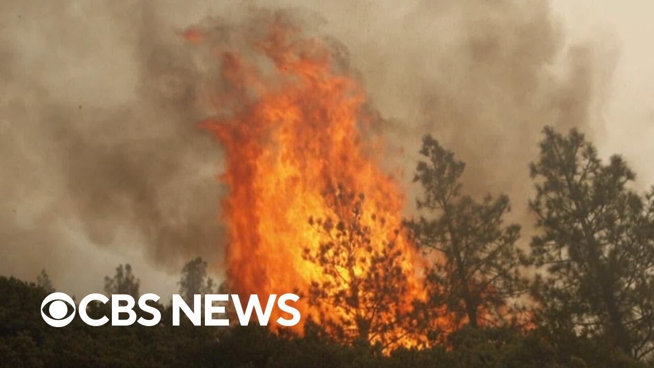Climate disaster database backed by nonprofit after Trump administration shuts it down