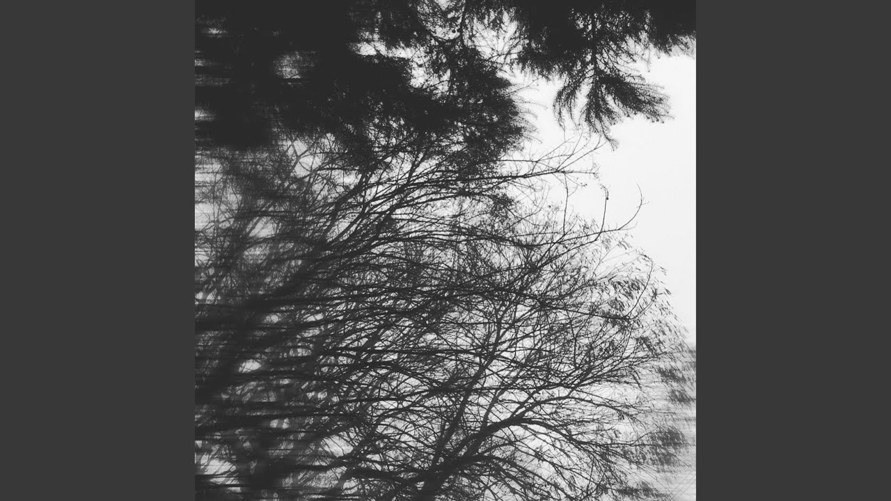 Dissociation