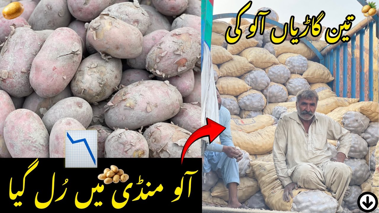 Bahawalpur Mandi Mein Teen Bari Gariyan Aloo Ki Aloo Mandi Mein Rull Gaya 📉