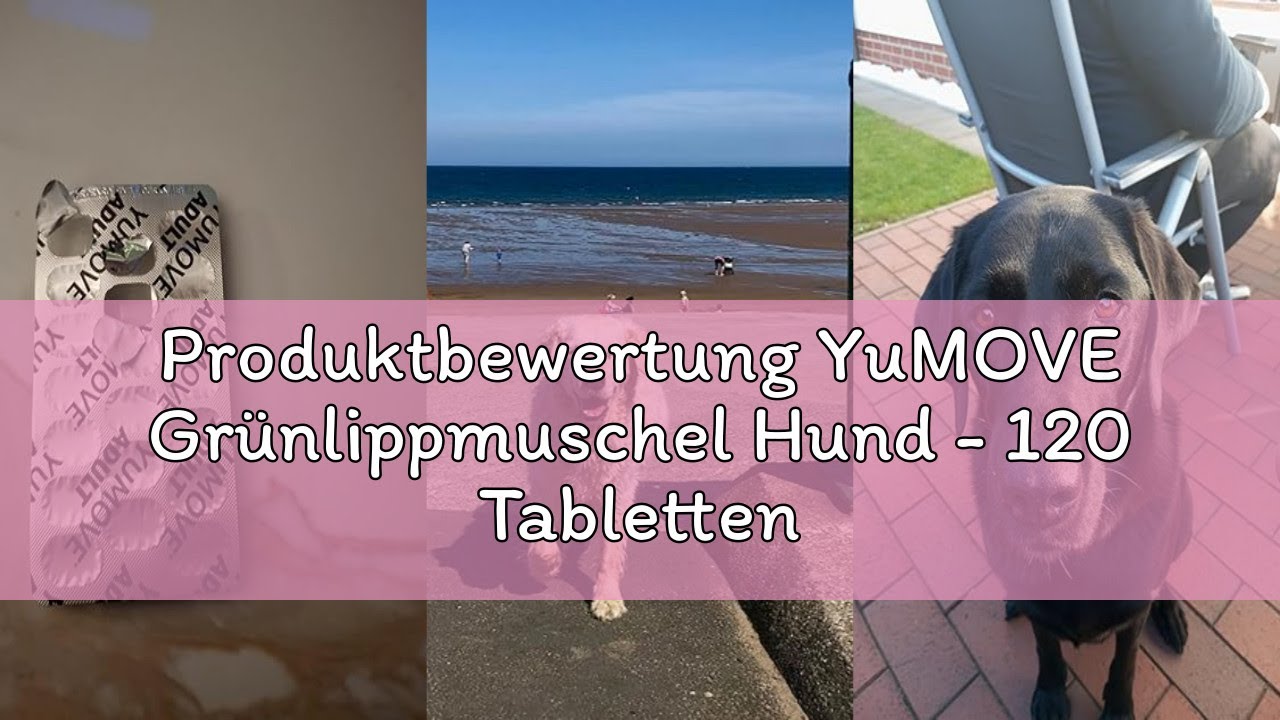 Produktbewertung YuMOVE Grünlippmuschel Hund - 120 Tabletten - Gelenktabletten Hund - Beweglichkeit