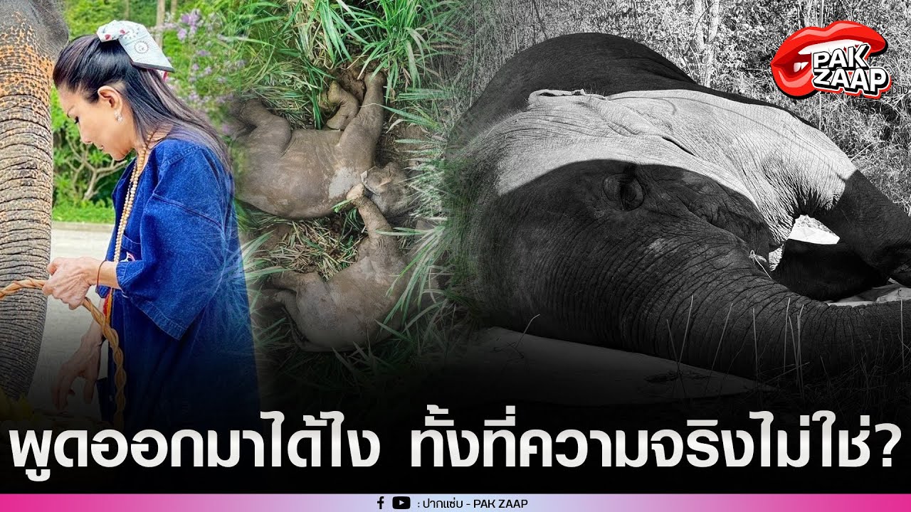 'หนูนา'เดือดจัด ฟาด'กรมอุทยานฯ'หลัง