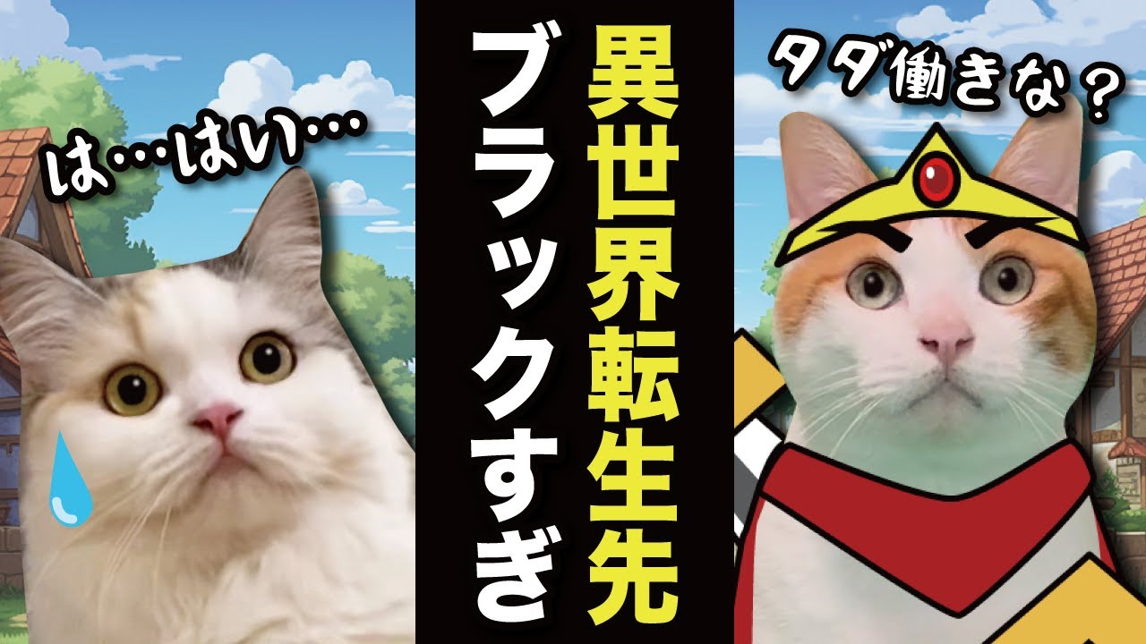 異世界転生したらブラックすぎるパーティーに入れられた件【漫才】【コント】 【猫アニメ】