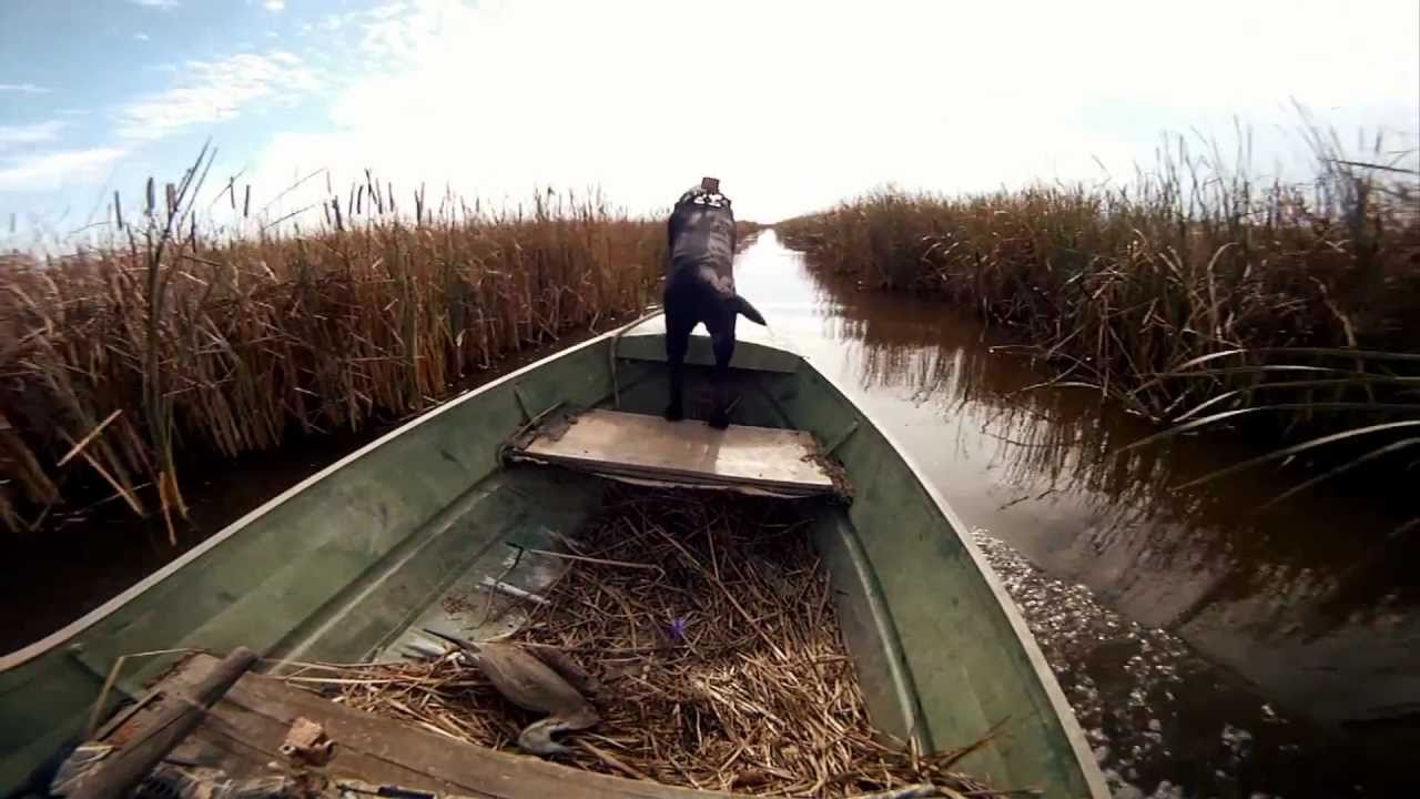 GoPro HD: Hunting and Fishing