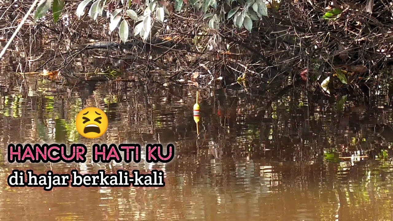 Mancing ikan di anak sungai patin -duel sengit tiada ampun