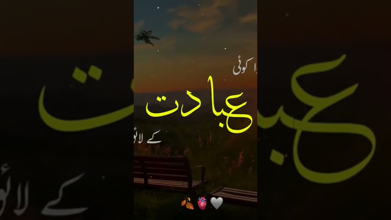 Quran Tilawat #Quran #quranrecitation #islamic #islamicshorts #sadatatus