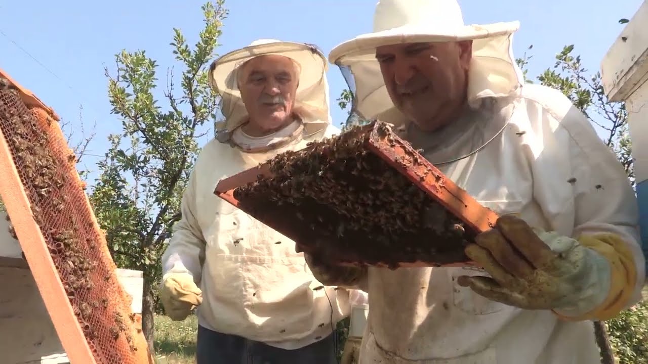 Boja meda ep. 370 08.04.2025. Rasinski pčelari, Raša Jašović: teorija ili praksa u pčelarstvu