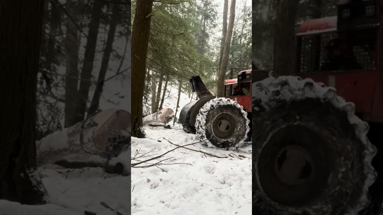 Timberjack Skidders working in the winter #logging #skidder #winter #shorts #detroitdiesel