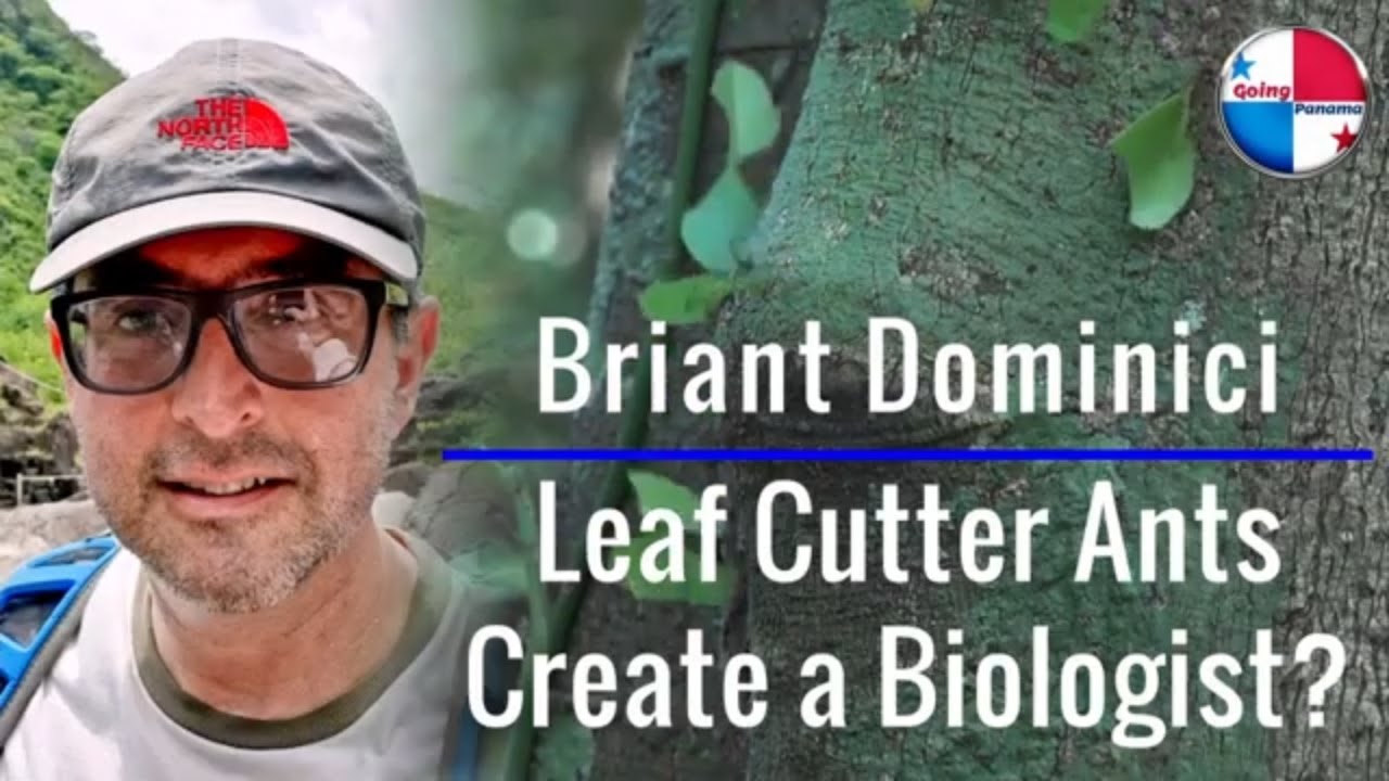 Briant Dominici: Leaf Cutter Ants Create a Biologist?