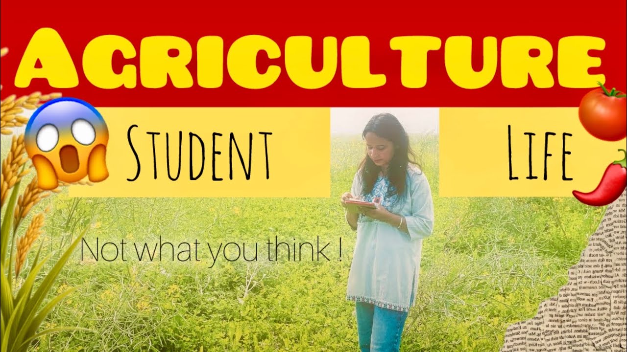 🌾 A Day in the Life of a B.Sc. Agriculture Student | Village Attachment 🌿