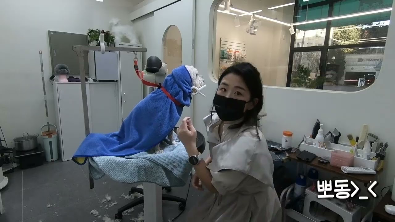 겁쟁이귀요미 빅숑 이름도 귀여운 뽀동이