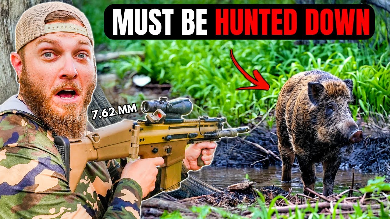 Hunting Down Destructive Wild Hogs **Scope Cam**