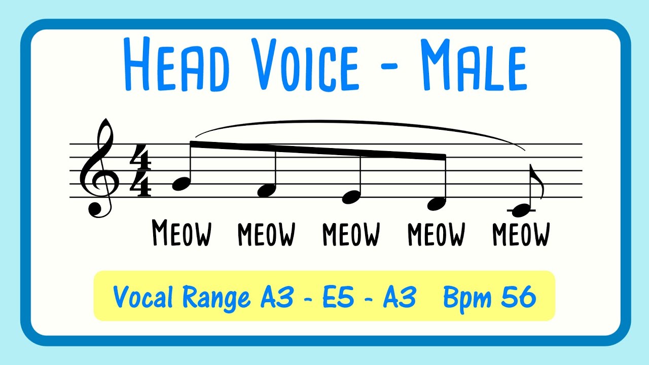 Head Voice & Falsetto Exercise for Male Singers | Meow Warm Up Head