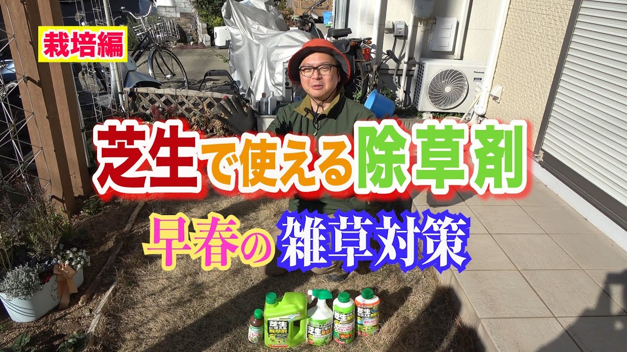 芝生で使える除草剤　早春の雑草対策～ガーデンドクターTV60 RM