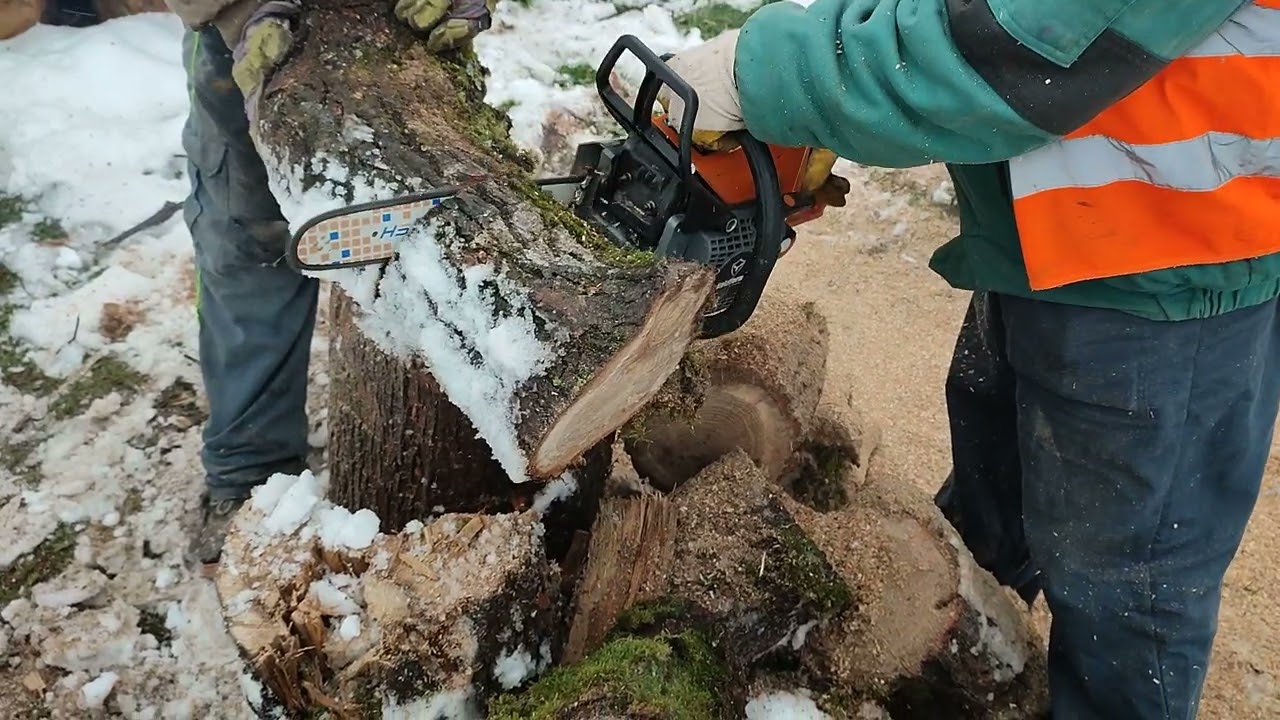 Mészáros Tamás felé G255