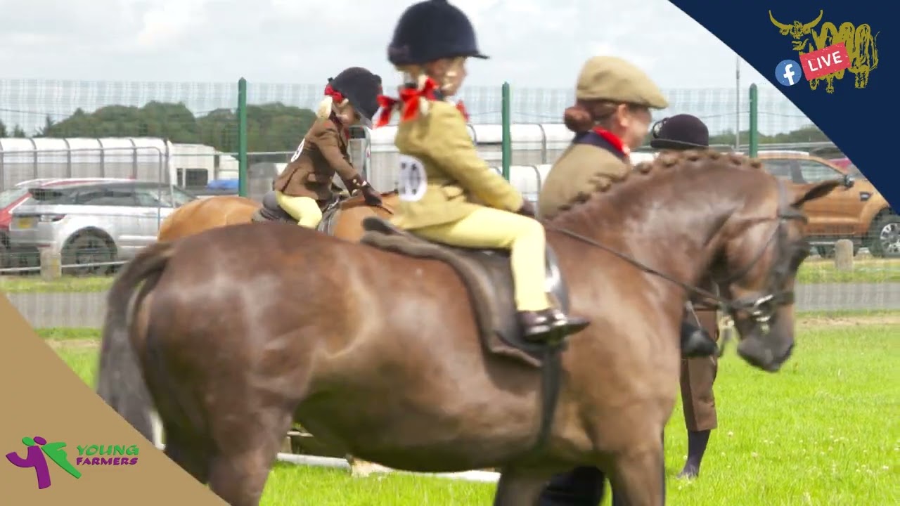 D3 S5 YOUNG FARMER ABBY FORSYTH - SHOW HUNTER PONY, LED REIN & FIRST RIDDEN AT ROYAL HIGHLAND SHOW
