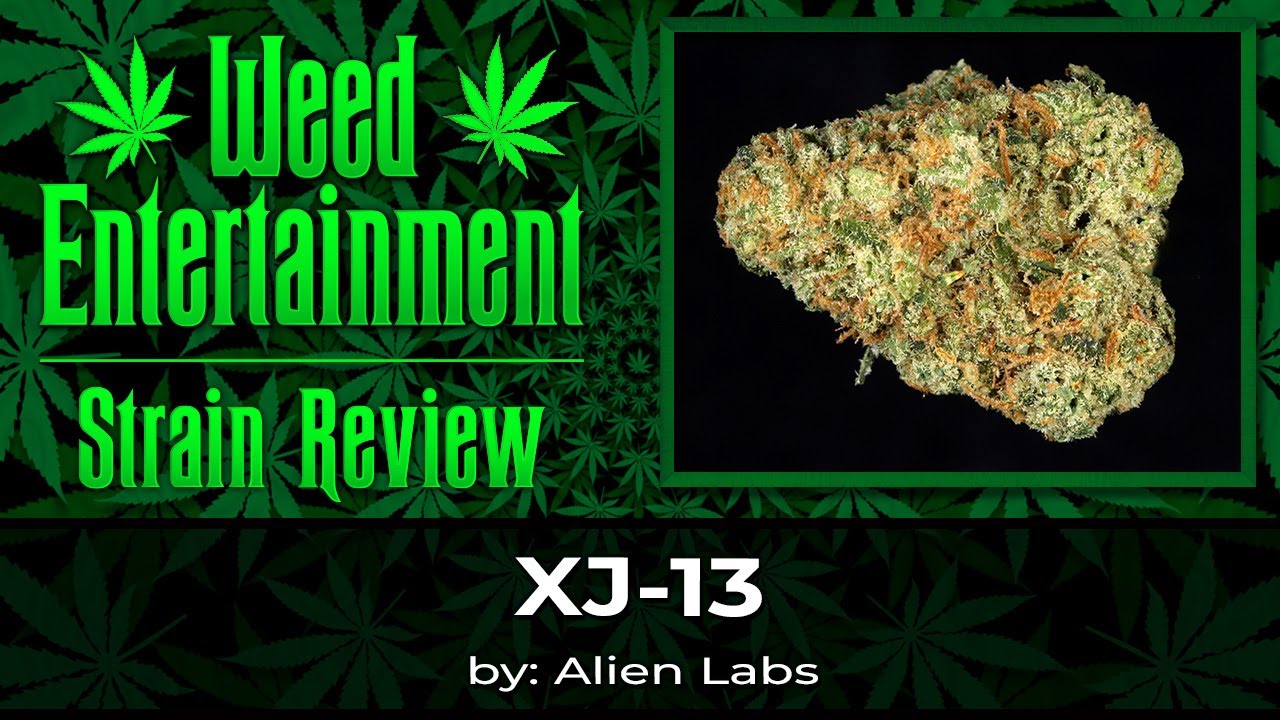 XJ-13 - by Alien Labs - Review - June 2025