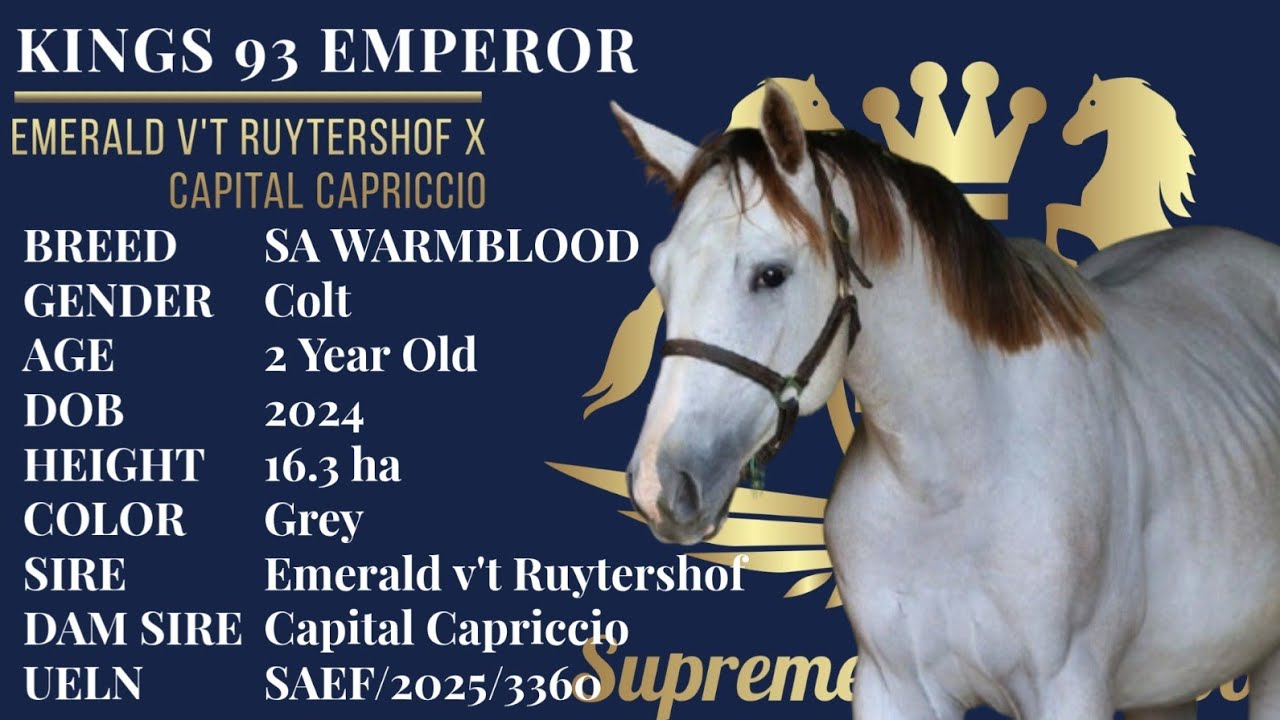 KINGS 93 EMPEROR - Emerald vt Ruytershof X Capital Capriccio