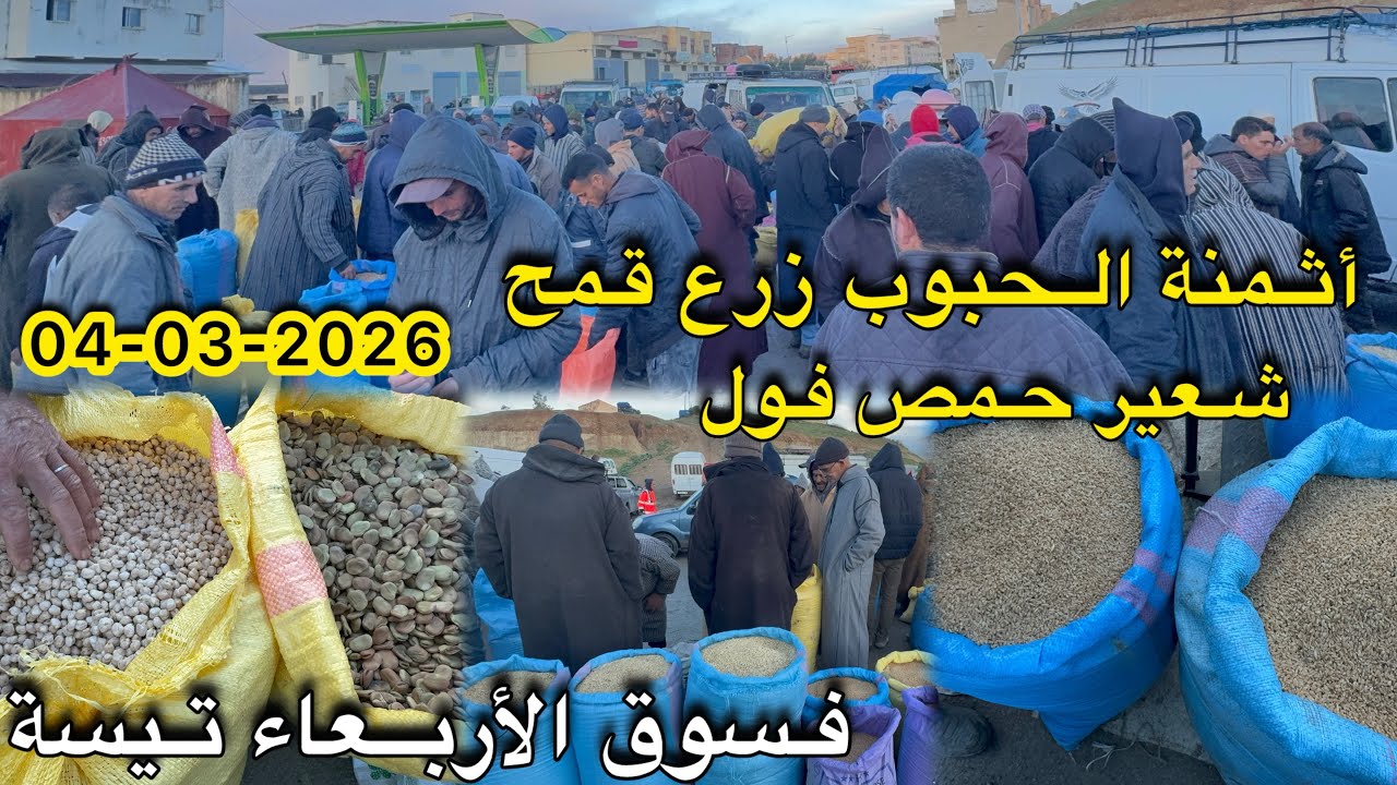 أثمنة  حبوب زرع قمح شعير حمص فول فسوق أربعاء تيسة 04/03/2026