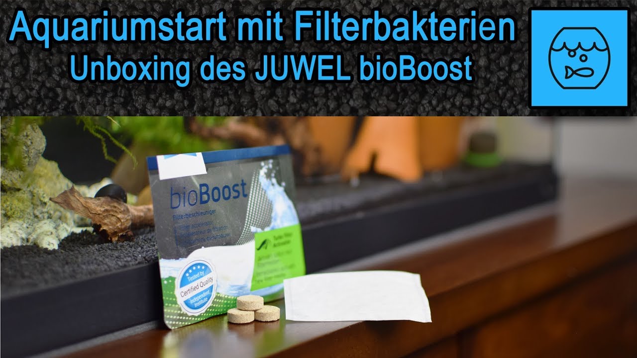 Aquariumstart mit Filterbakterien - JUWEL bioBoost - Filterbeschleuniger - Unboxing Filterstarter