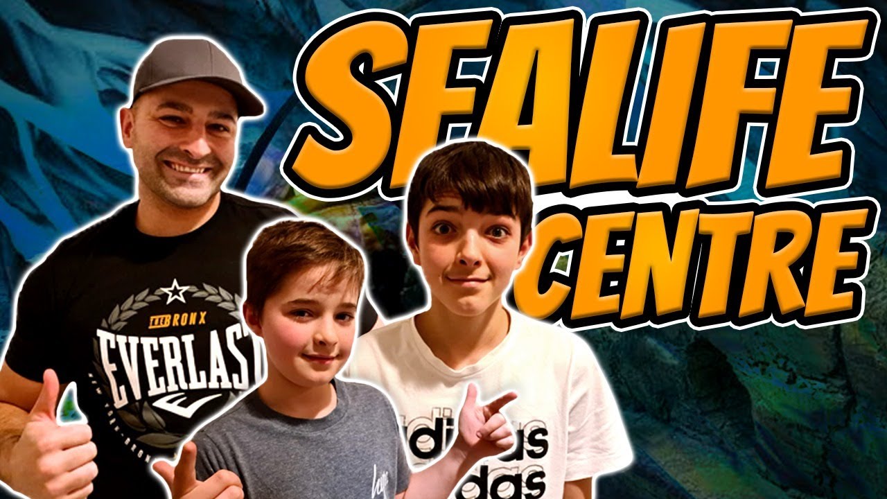 Our trip to the SEA LIFE Centre