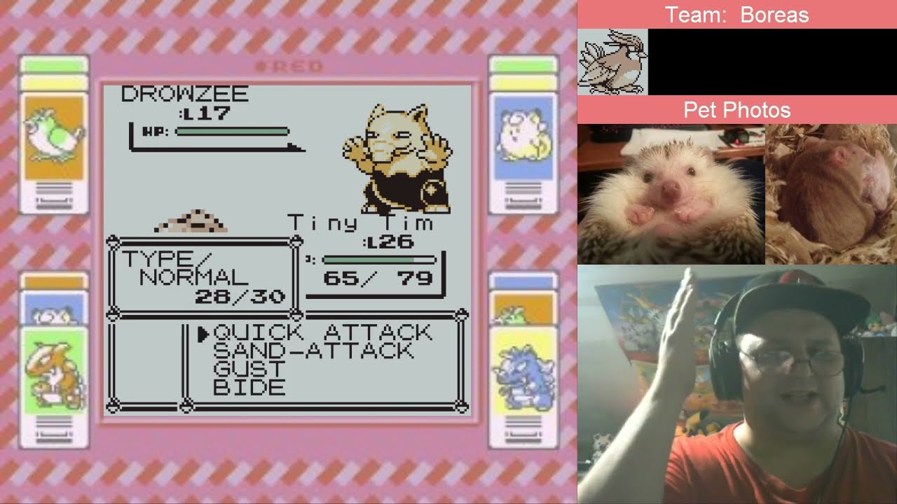 Pokémon Red: Pidgey/Pidgeot - Part 09