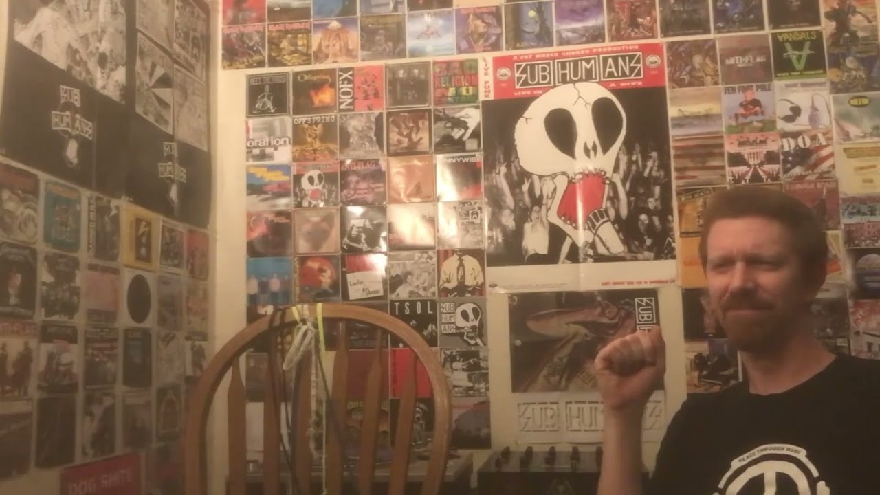 Shnootz - Reaction Video (Kate Bush - Egypt)