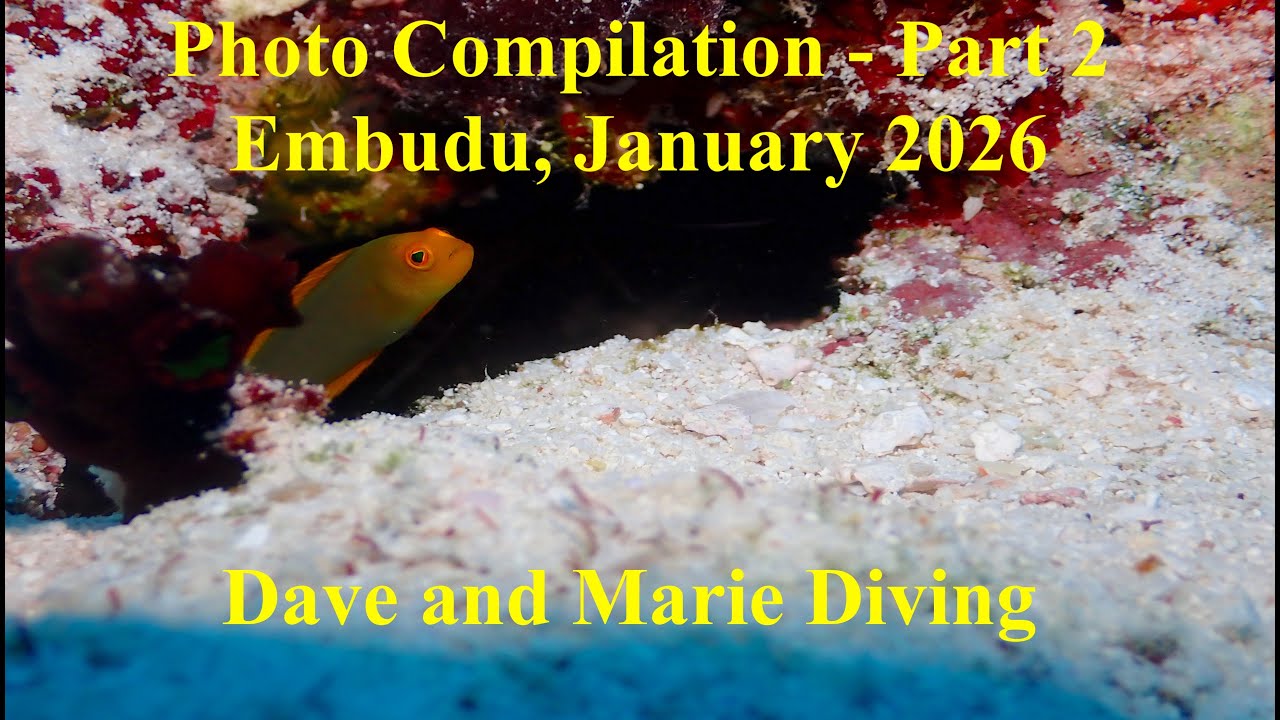 Photo Compilation Part 2 from Embudu Village, Maldives, January 2026