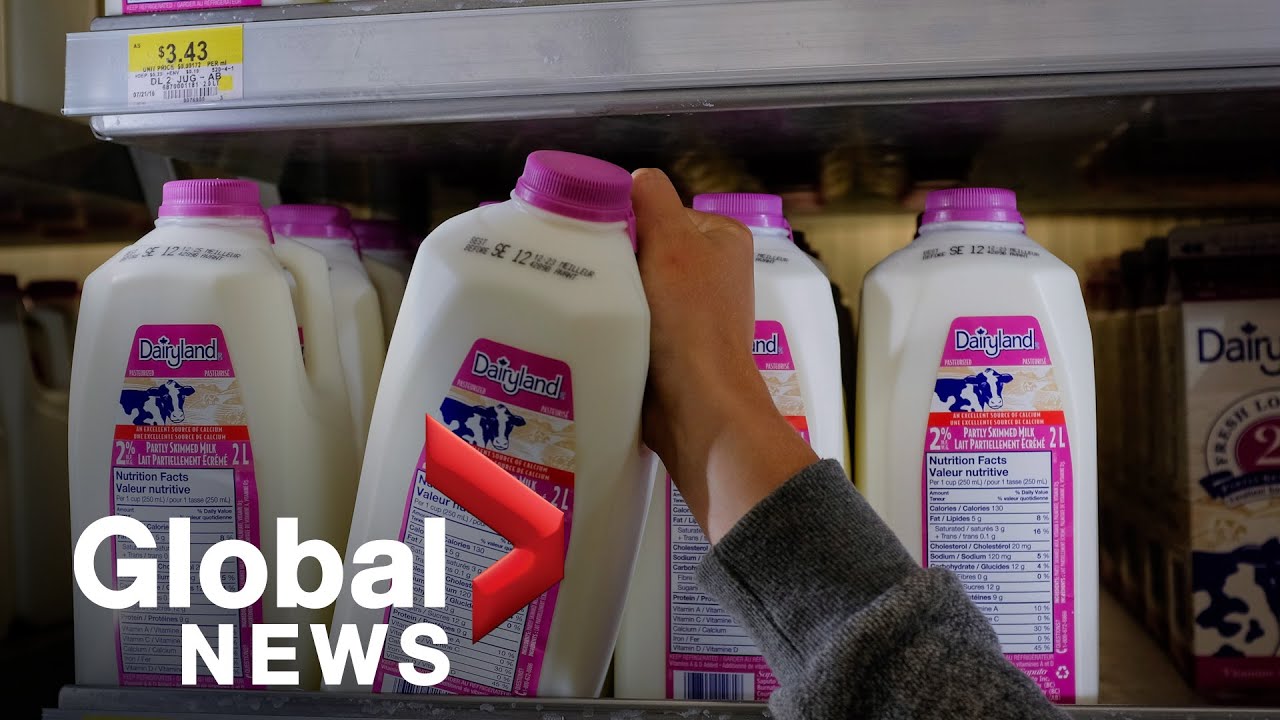 Milk prices soar across Canada as record price increases for farmers kick in