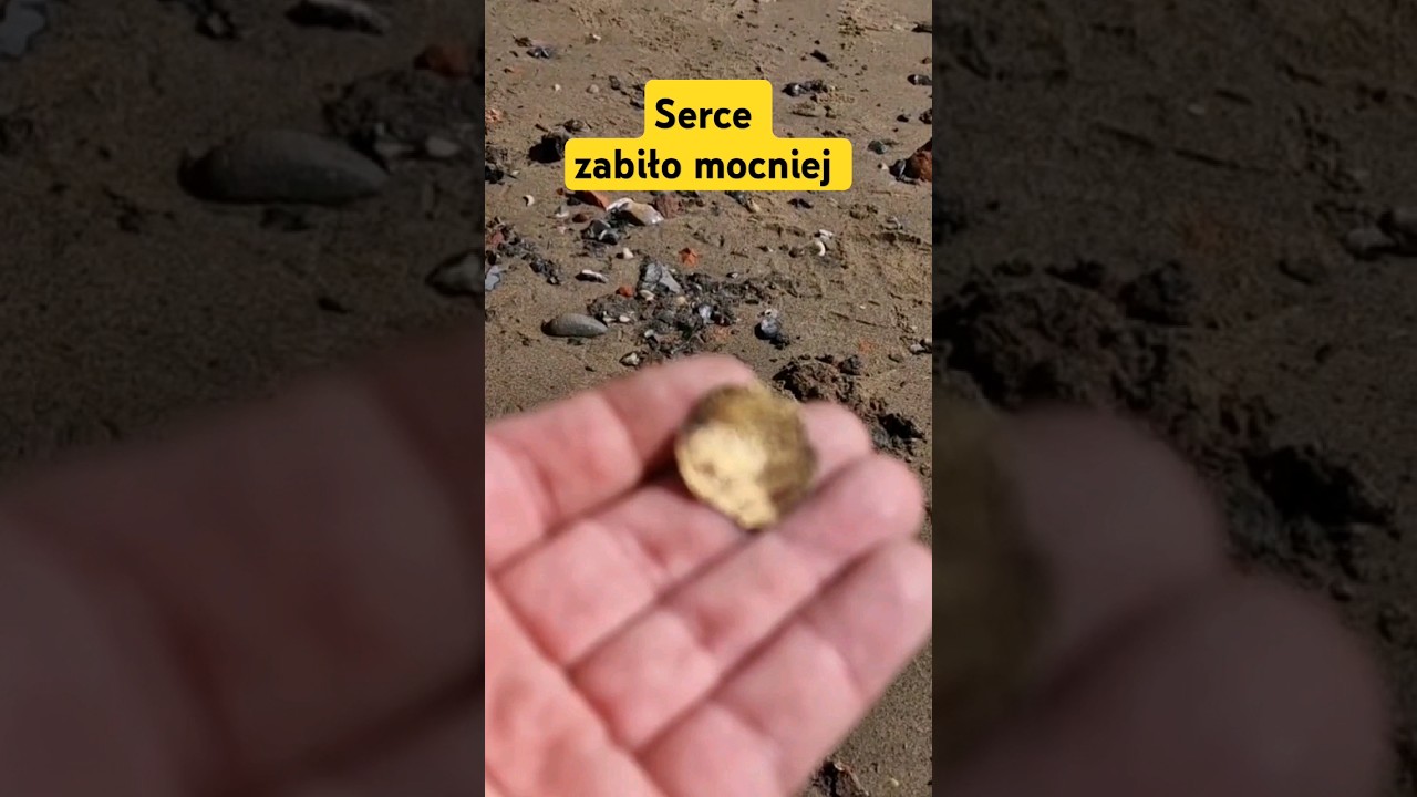 Serce zabiło mocniej #shorts #goldenmaniek #dc #viral #dlaciebie #fyp #gold #mudlarking #złoto