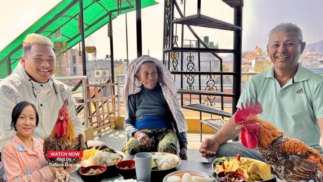 बन्दिपुर बाट हजुरआमाको कोसेली रातो लोकल भाले 🐓🤩 || Gurung Sabina || @Gsabinaofficial 