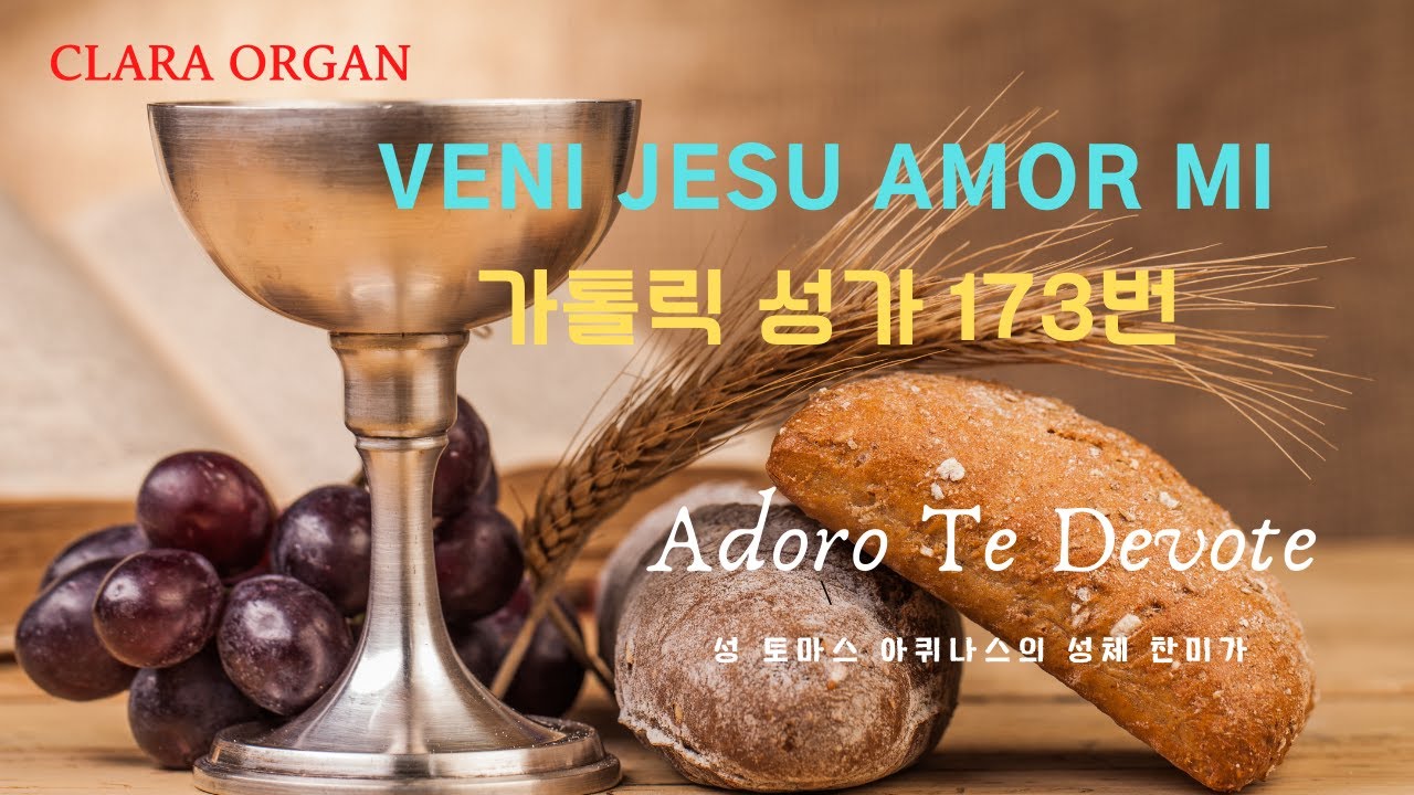 가톨릭 성가 173번 '사랑의 주여 오소서' 주제에 의한 오르간 연주곡/Veni Jesu Amor Mi / L. Cherubini/ 김현정 작곡