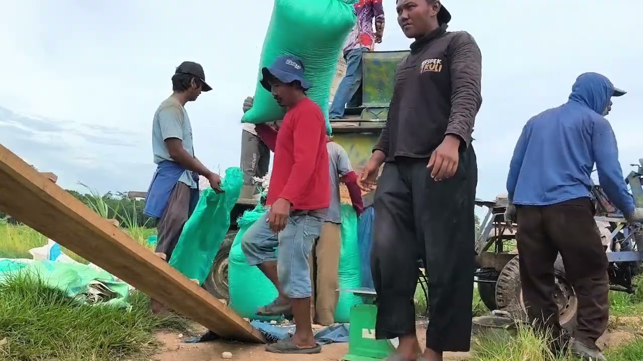 Giling jagung di ladange bos ojek pertelon varia. 