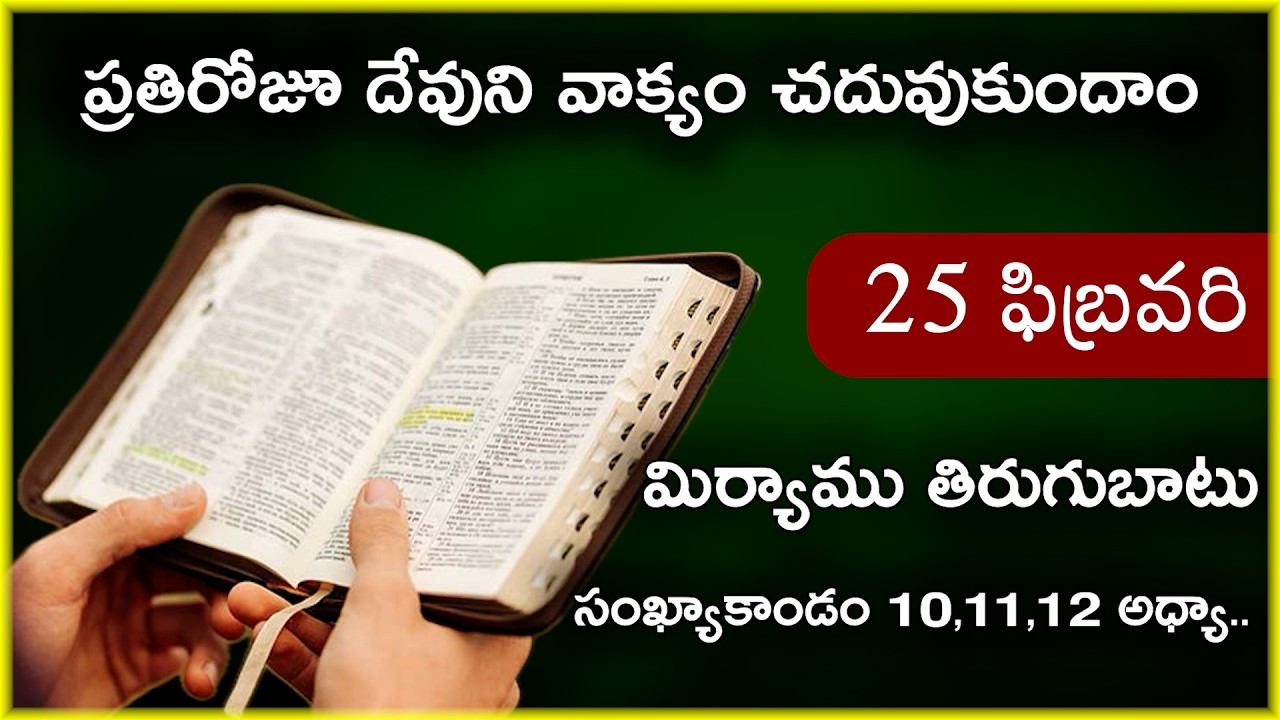 Feb 25 | సంఖ్యాకాండం 10,11,12 అధ్యాయాలు | ప్రయాణ ఆరంభం, మిర్యాము తిరుగుబాటు | Daily Bible Reading 56