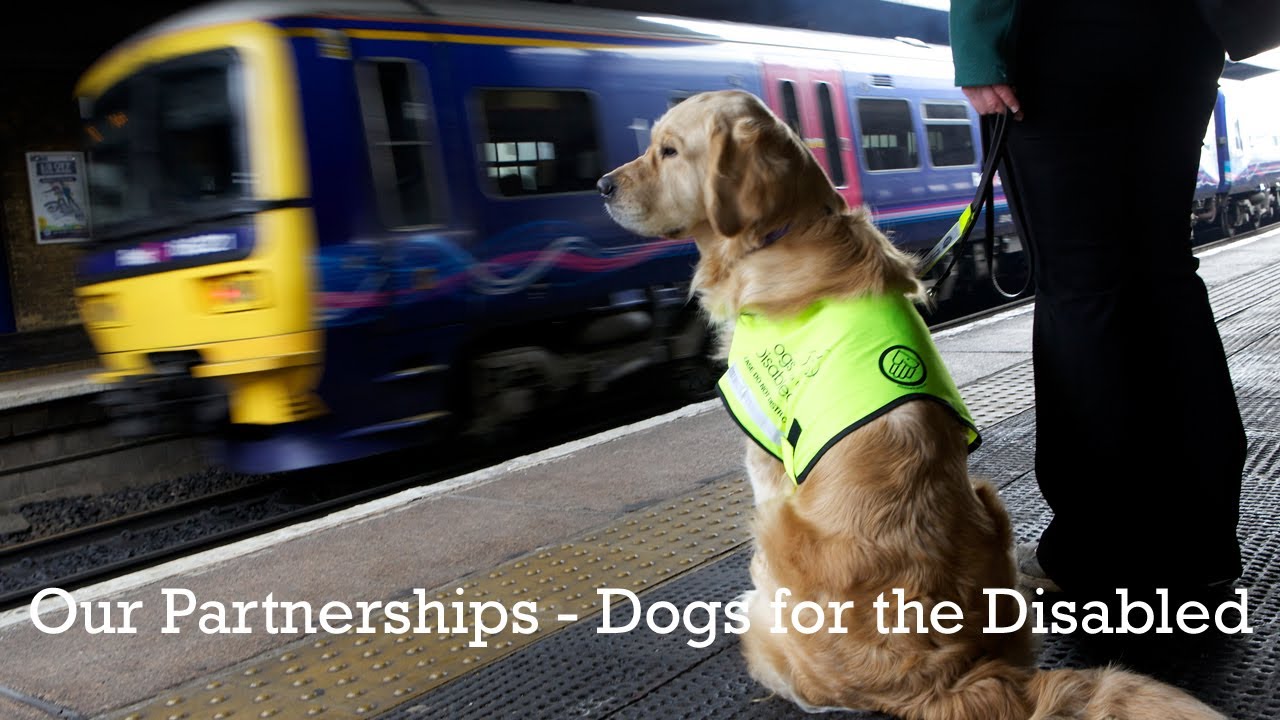 Our Partnerships - Dogs for the Disabled
