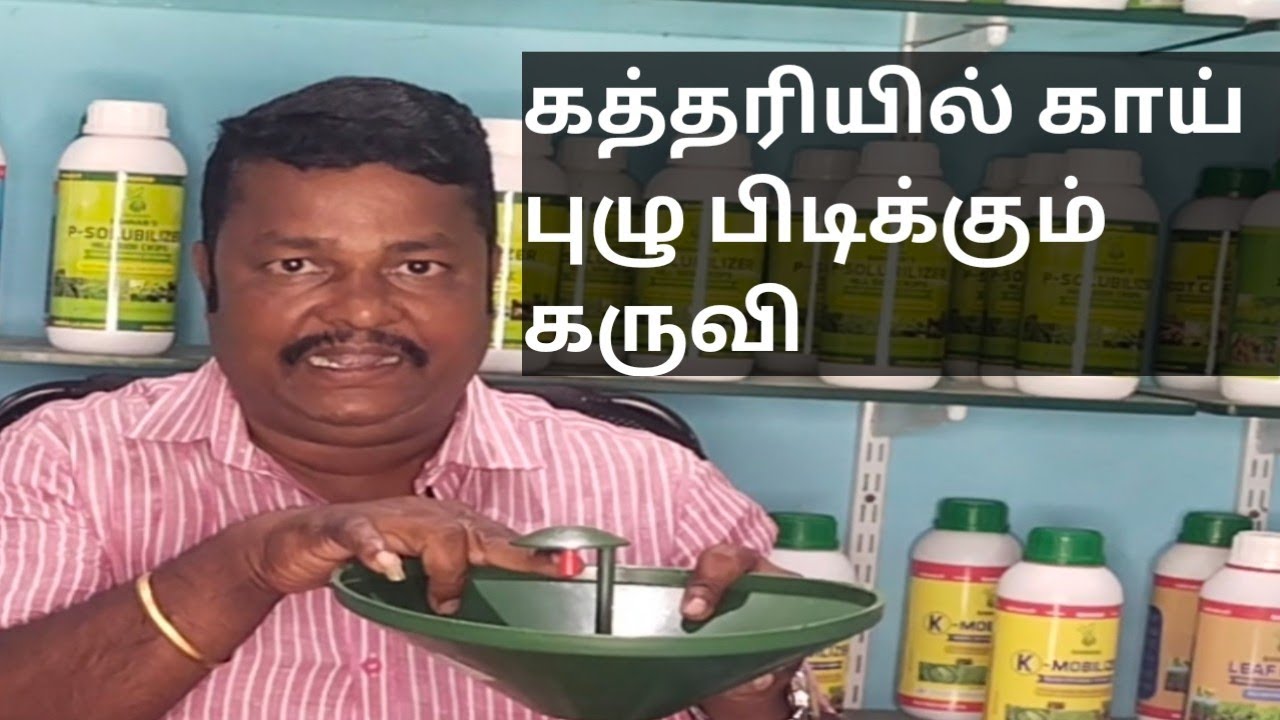 August 20, 2022 கத்திரியில் தாய் அந்து பூச்சிகளை பிடிக்கும் கருவி