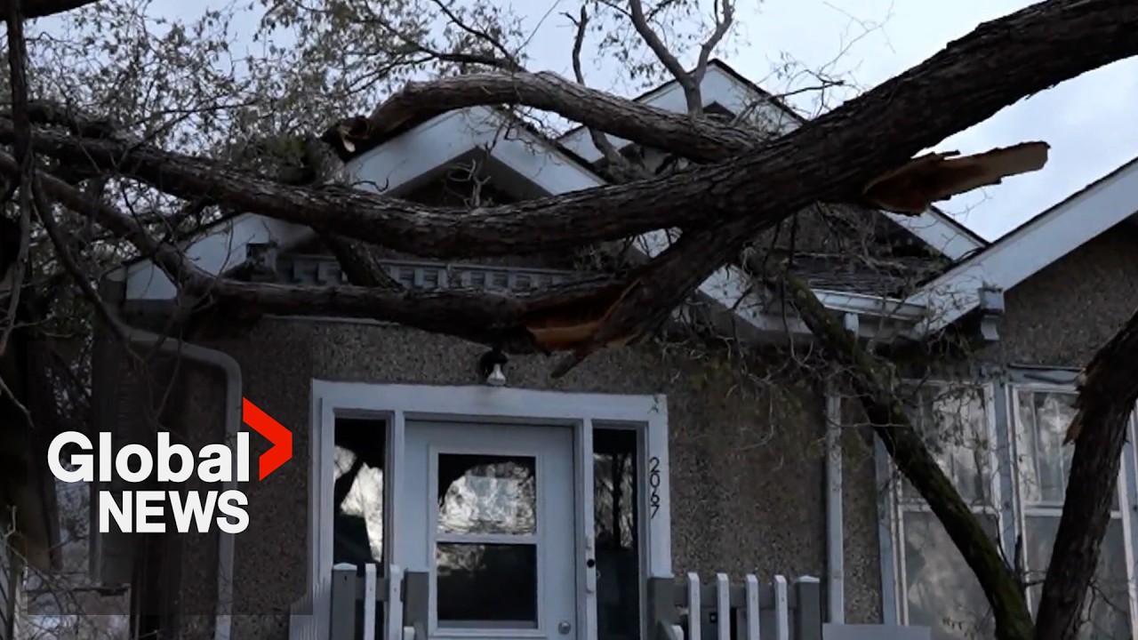 High winds blow into southern Saskatchewan, causing dust storms and damage
