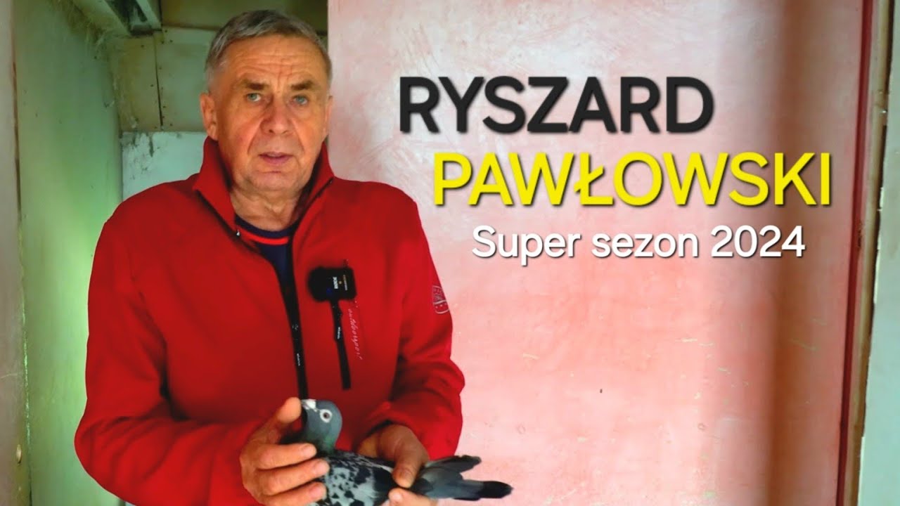 Ryszard Pawłowski - PZHGP 0329 Dzierżoniów / Super sezon lotowy 2024 🏆🎉👌