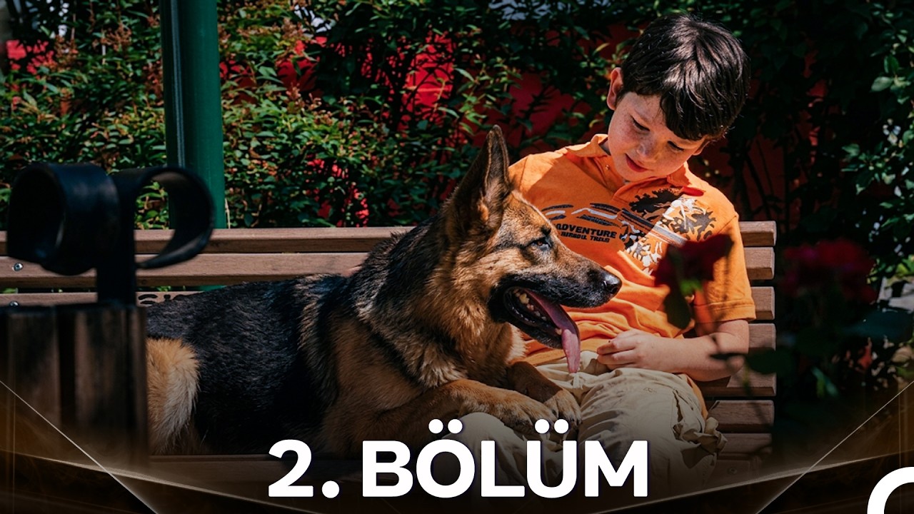 #YENİDEN Pulsar 2. B&ouml;l&uuml;m