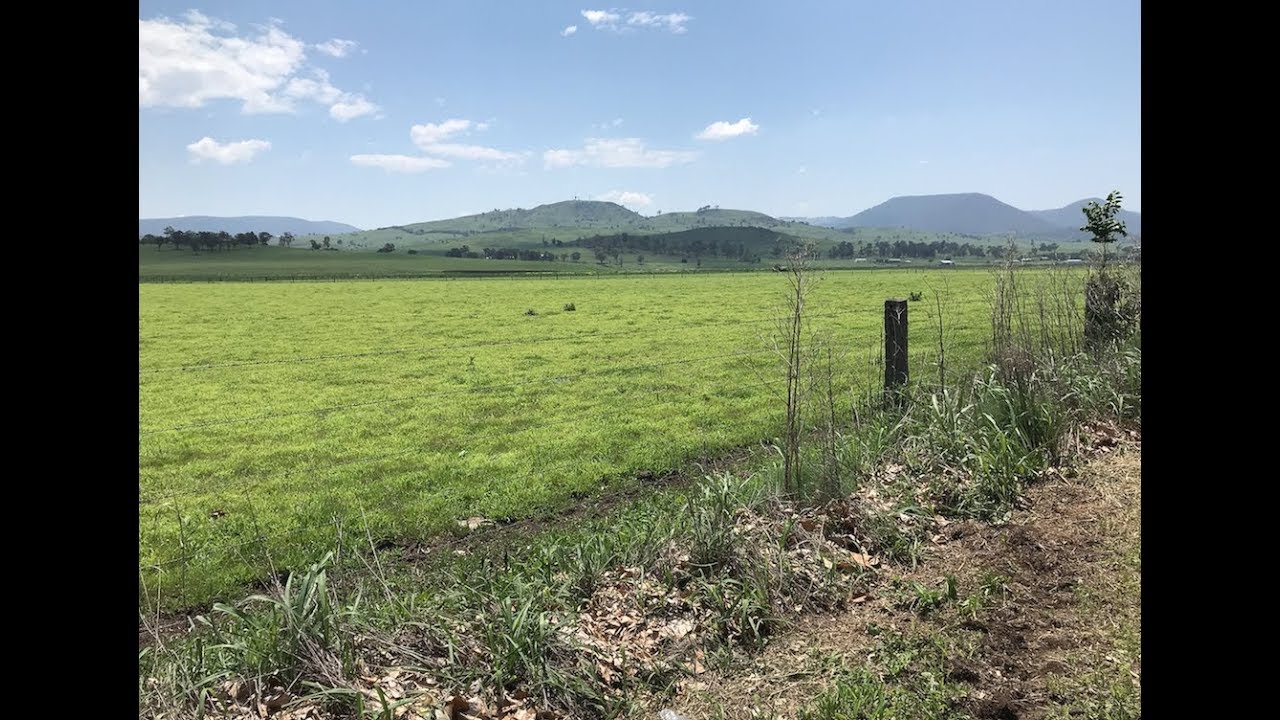 Country Drive - Scenic Rim