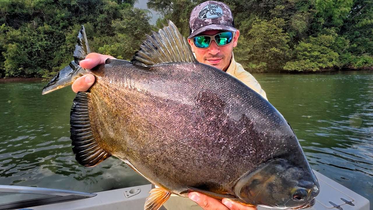 Pescando PAC&Uacute; en Corrientes | Pesca en It&aacute; Ibat&eacute;