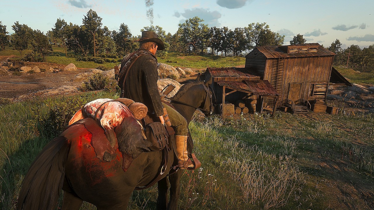 Red Dead Redemption 2 Hunting Legendary Coyote PS5 Pro