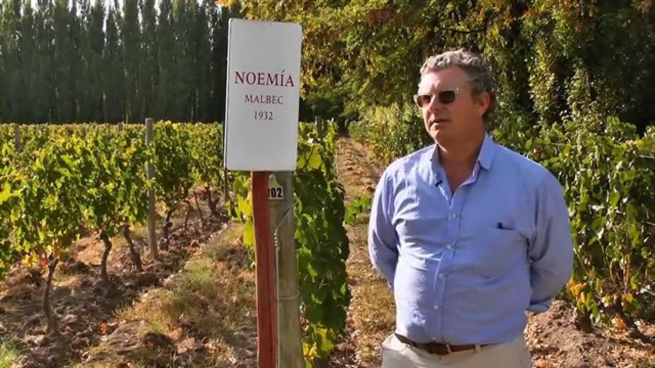 JAMESSUCKLING.COM - Argentina - Patagonia - Bodega Noemía