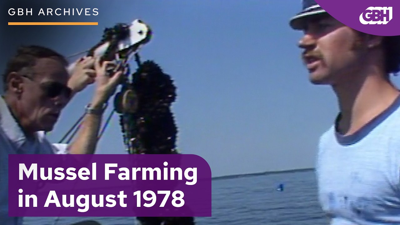 A Day in the Life of a ‘70s Mussel Fisherman | GBH Archives
