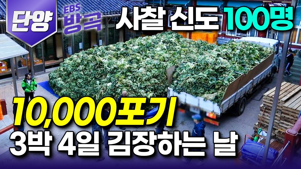 [충북 단양] 역대급 압도적 규모! 신도 100명 모여 3박 4일 10,000포기 사찰 김치｜배추만 5톤 트럭 7대｜배추탑 쌓이는 구인사 김장하는 날｜#한국기행 #방방곡곡