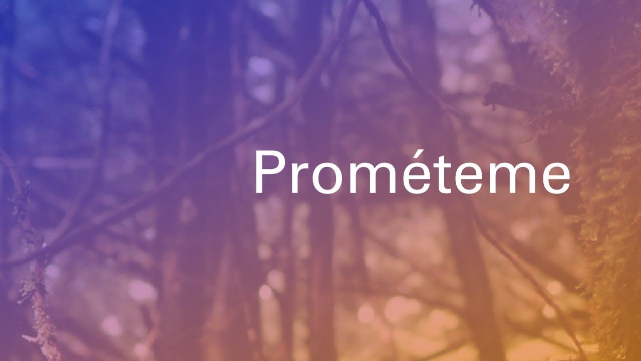 Prométeme. Sara Arias. Yendry Vega. Costa Rica. 2020.