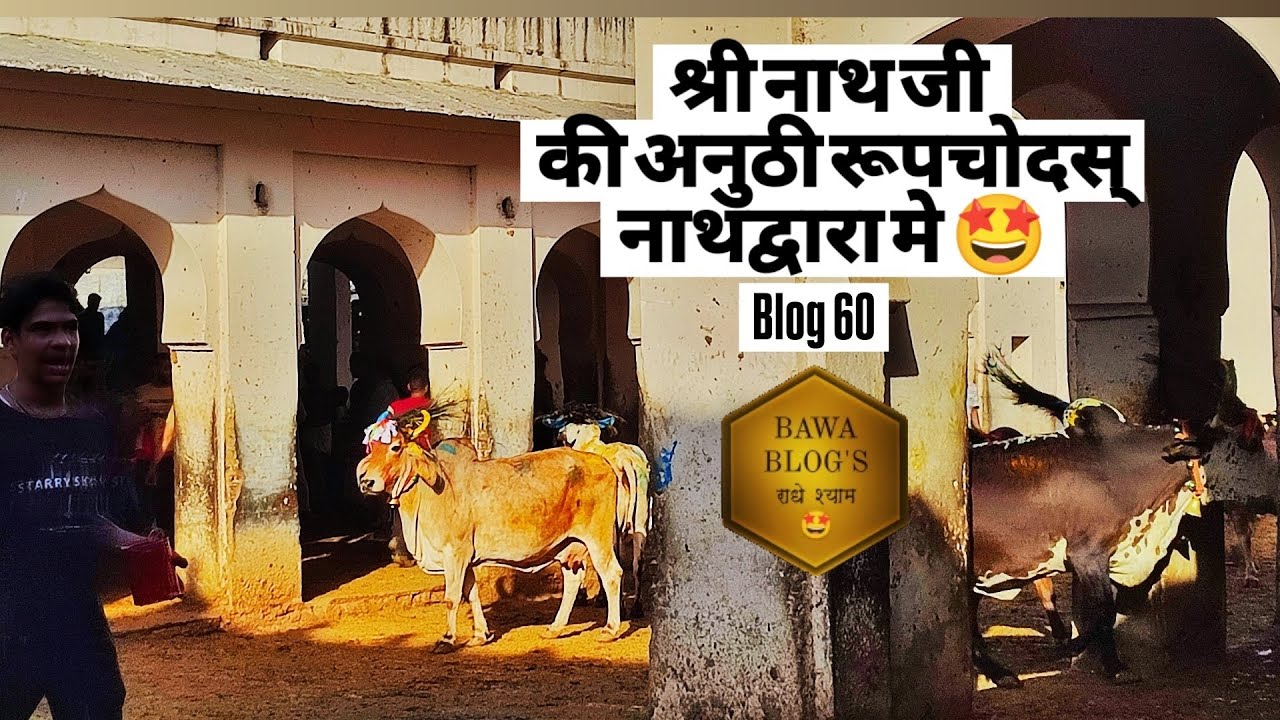 दिवाली से एक दिन पहले ऐसे मानते है श्री नाथजी के ग्वाल बाल  रूपचोदस्