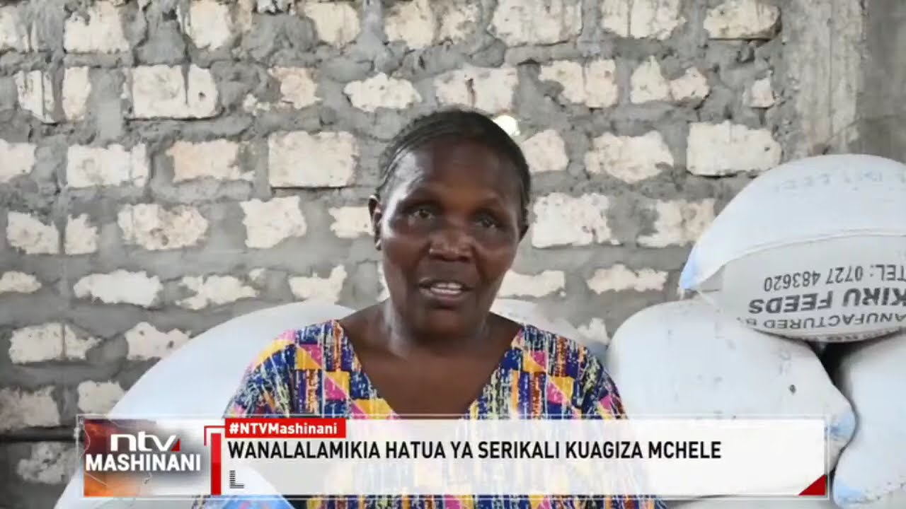 Tana River: Wakulima walalamikia hatua ya serikali kuendelea kuagiza mchele kutoka nje ya nchi