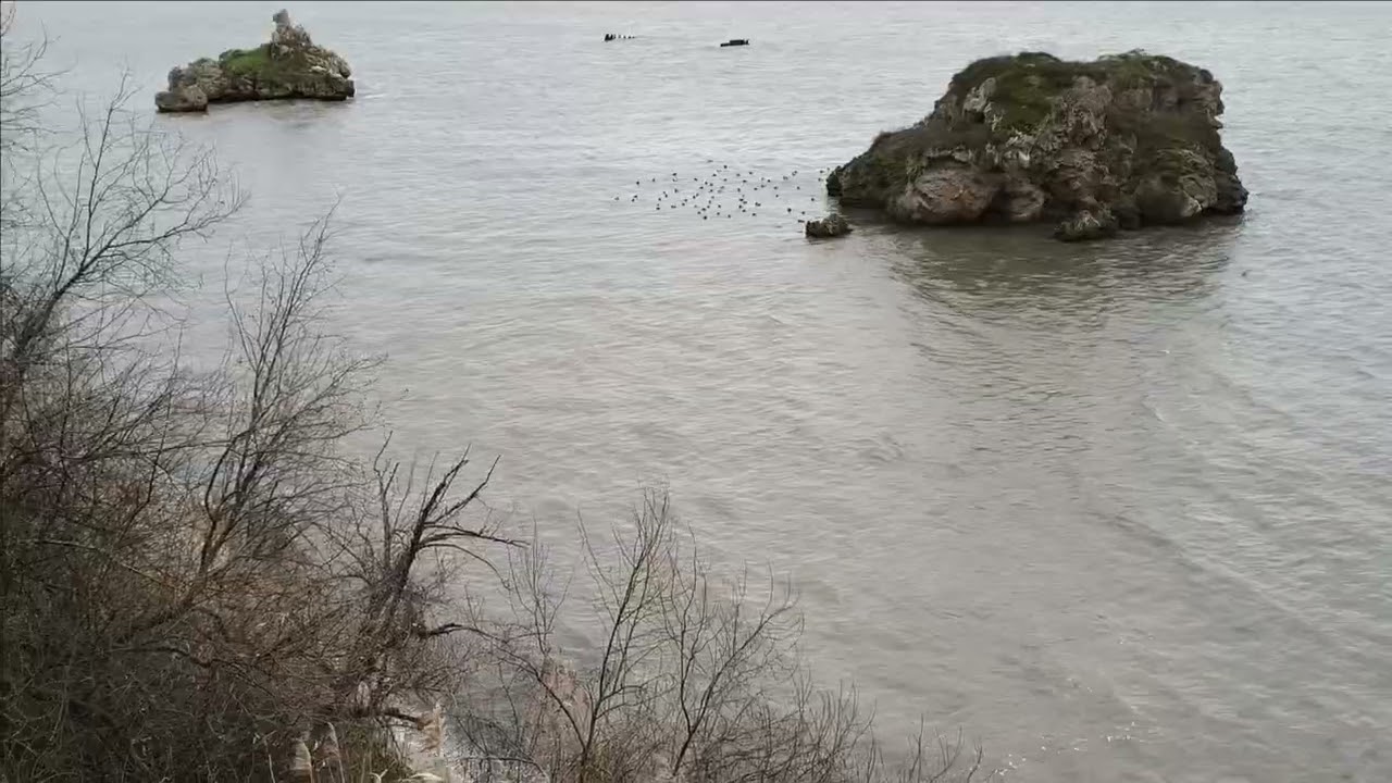 Керчь  Приморский парк сегодня 09 01 26
